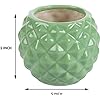 Star Ceramic Pot (Quantity-any 1 colour) (SCP1)