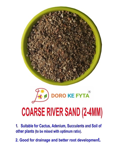 coarse sand for succulents Coarse River Sand (Granules Size 2-4mm) for Garden Plants — GIFTnPLANTS