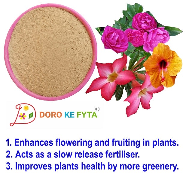 Organic Rock Phosphate fertilizer for plants enhances flowering & fruiting for horticulture and garden use.