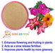 Organic Rock Phosphate fertilizer for plants enhances flowering & fruiting for horticulture and garden use.