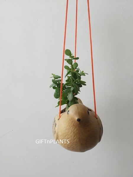 Hanging Bird Ceramic Pot  with Free Strong hanging thread  (BIRC)