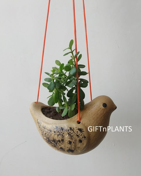 Hanging Bird Ceramic Pot  with Free Strong hanging thread  (BIRC)