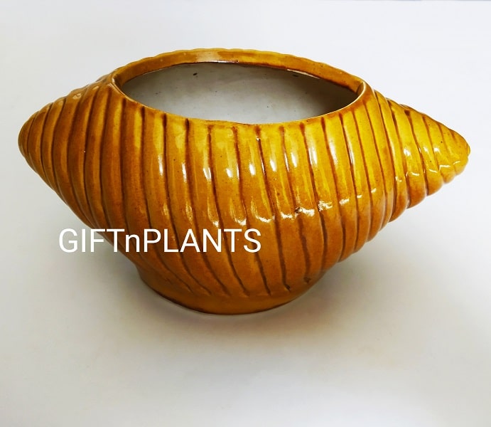 Shankh Ceramic Pot -SHANK