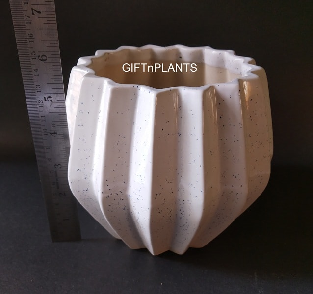 White Plain Ceramic Pot (CP6BW)