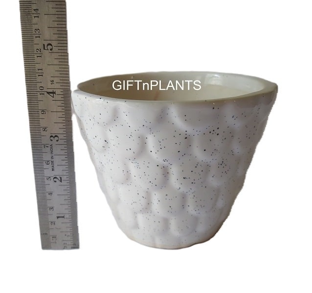 Grapes Design Ceramic Pot (Round) -WRGC