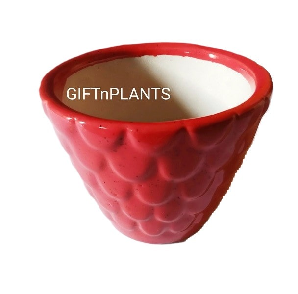 Grapes Design Ceramic Pot (Round) -WRGC