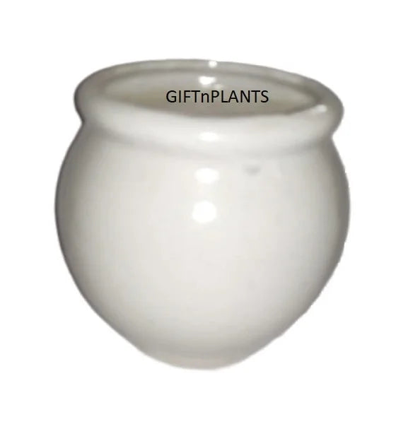 Ceramic Pot Round (MATC)