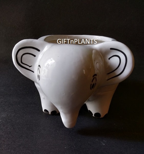 Elephant Ceramic Pot  (CPELE)