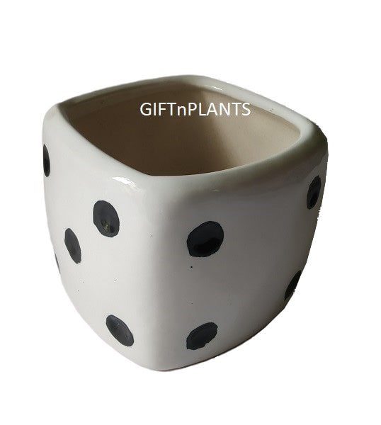 Ludo Ceramic Pot (Round) -LUC