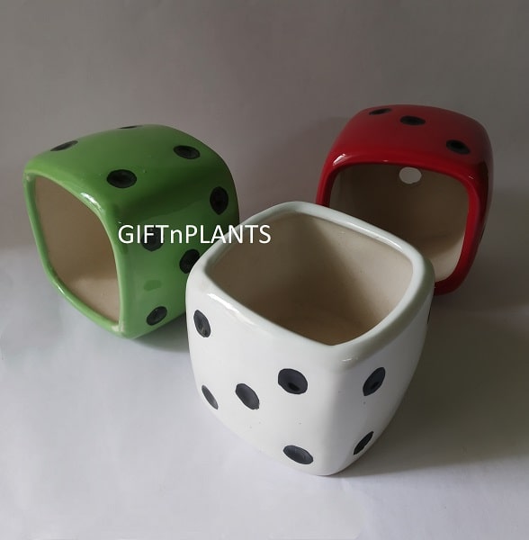 dice plant pot Ludo Ceramic Pot (Round) -LUC — GIFTnPLANTS