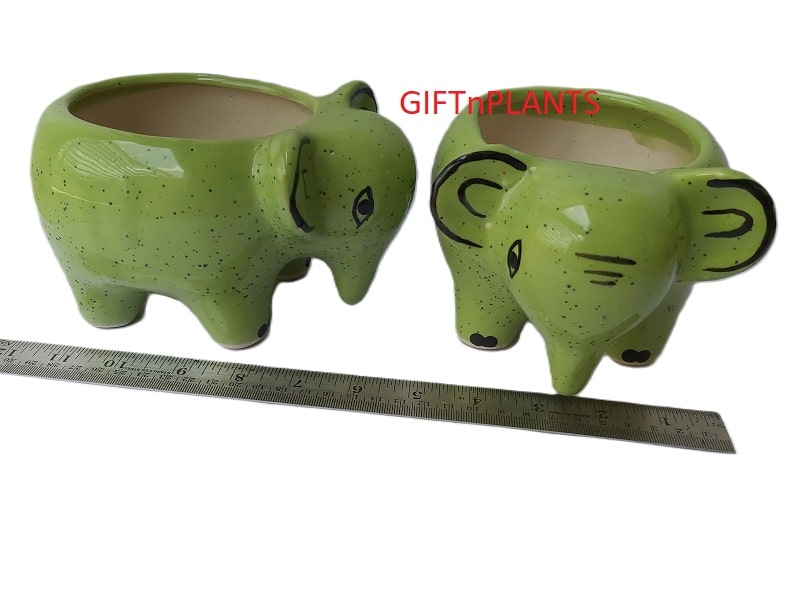 Elephant Ceramic Pot  (CPELE)