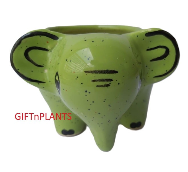 Elephant Ceramic Pot  (CPELE)