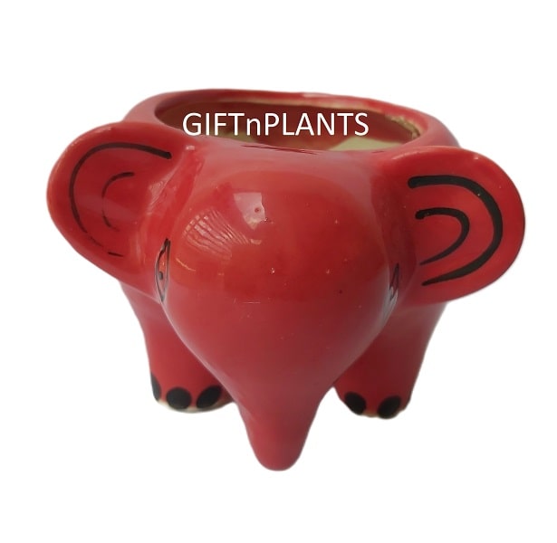 Elephant Ceramic Pot  (CPELE)