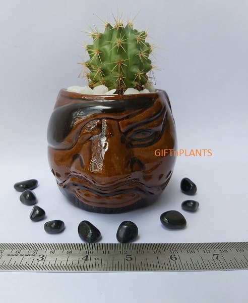 Kana Ceramic Pot (KACP)