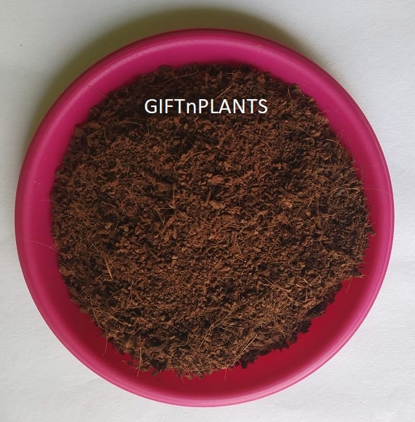 Cocopeat Powder (Low E.C.) for plants, Garden Use and Soil Amendment