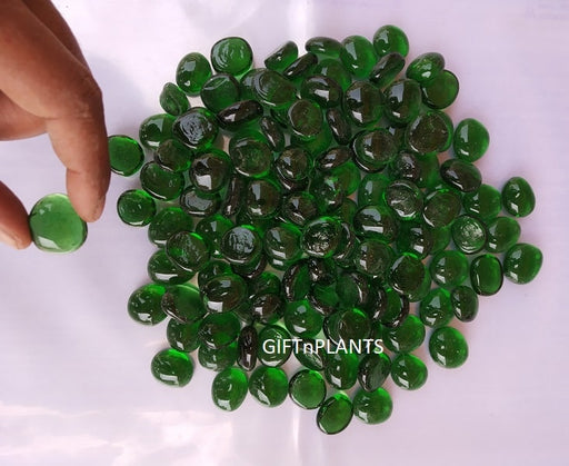 Giftnplants presents decorative & ornamental glass pebbles used for crafts, flower vases and plants' decoration.