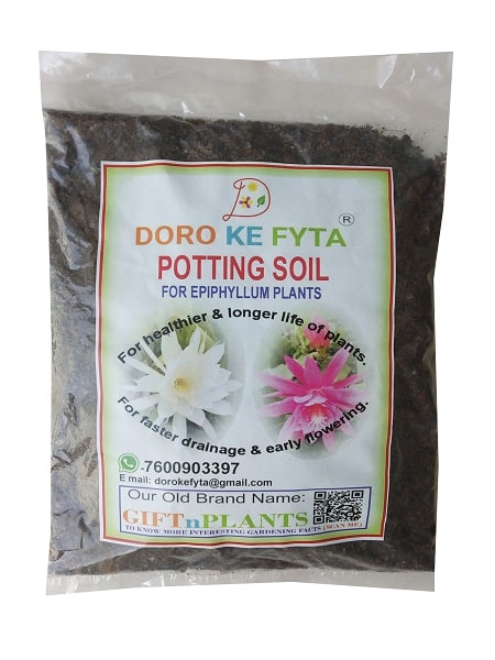 epiphyllum potting mix Epiphyllum Potting Soil for Better Growth and Flowering of Plants — GIFTnPLANTS