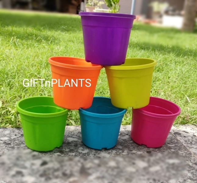 Plastic Pots Multicolour, Diameter- 4 inch