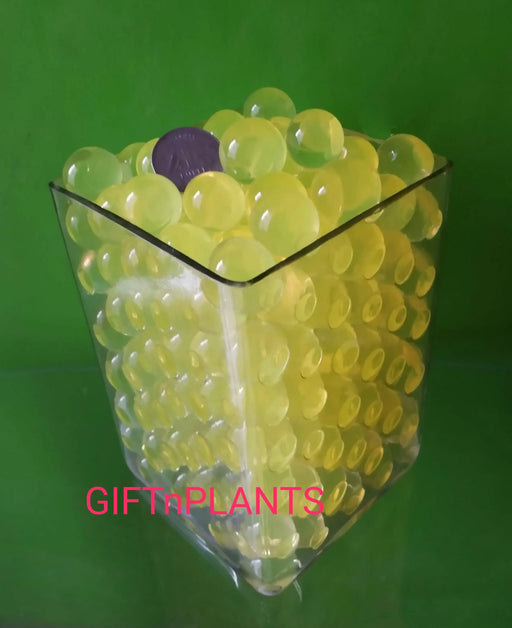 A flower vase of glass filled with yellow hydroponic jelly beads can be used with plants soil.