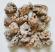Decorative Dead Rocks with natural holes for aquarium, fish tanks, ponds, terrariums, garden plants are used as aquascaping stone bio-filter media in natural light brown colors.