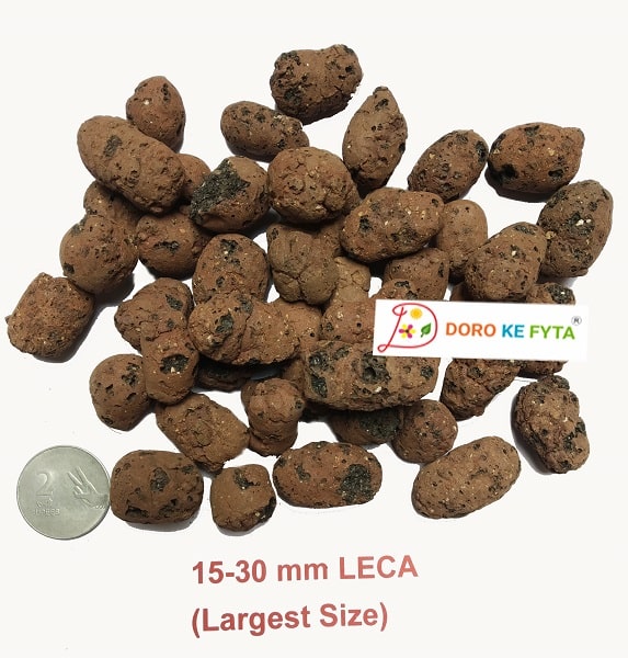 Leca Balls, Largest Size, (15 to 30 mm), Hydroton Pebbles for Orchids &  Mulching of Plants' Soil