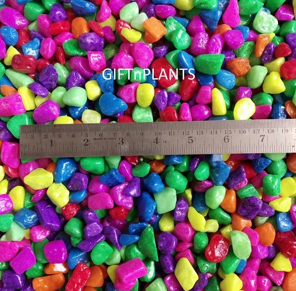 Mix Coloured Painted Stones (Size: 9-25 mm) for Garden Plants, Landsca ...