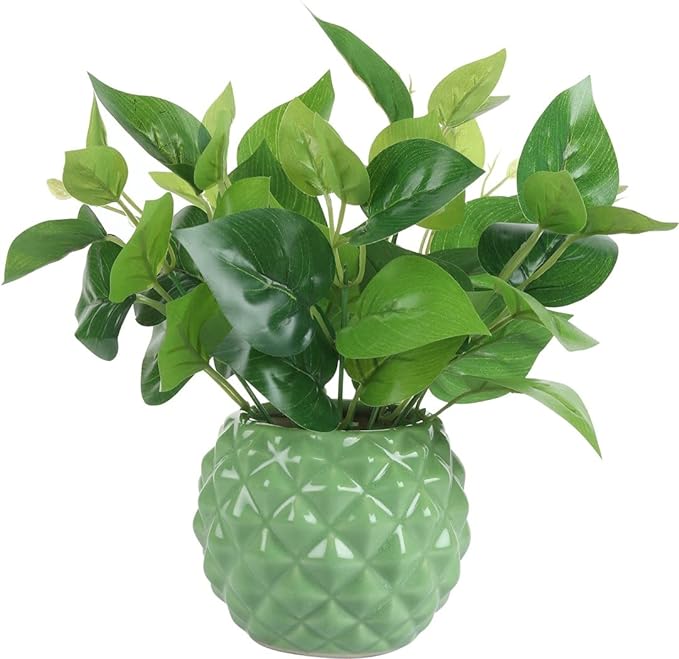 Star Ceramic Pot (Quantity-any 1 colour) (SCP1)