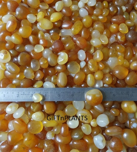 Tumbled Onyx Stones Yellow Colour for Plants & Flower Vases are important for better look of any home garden.