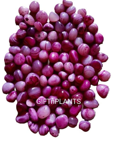 Giftnplants presents tumbled onyx stones pink colour for aquarium, reiki crystals, plants & flower vases are perfect choice for plants.