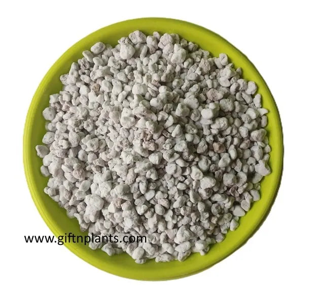 Combo of Organic Vermicompost and Perlite of Large Granules for Gardening