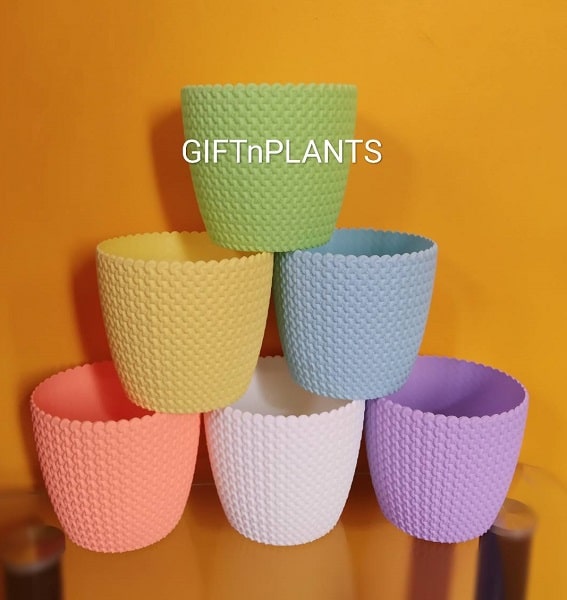 Plastic Pots (Capri-PCAH-Model) Multicolour, Diameter- 6 inch