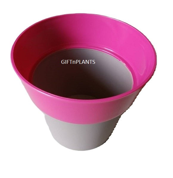 Plastic Pots (Arty-PAHN-Model) Multicolour, Diameter- 6 inch