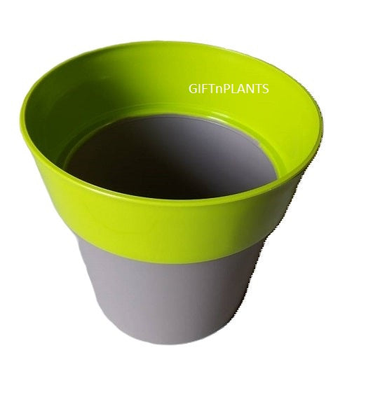 Plastic Pots (Arty-PAHN-Model) Multicolour, Diameter- 6 inch