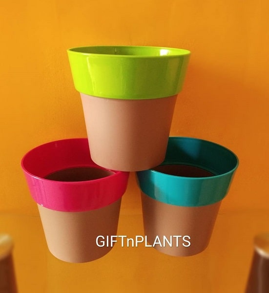 Plastic Pots (Arty-PAHN-Model) Multicolour, Diameter- 6 inch