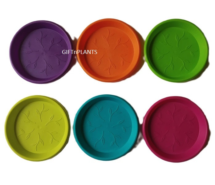 plastic plates for plants Plastic Pots Tray Multicolour, Diameter- 6 inch — GIFTnPLANTS