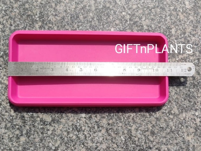 rectangular plastic trays for plants Rectangular Plastic Pots' Tray Multicolour — GIFTnPLANTS
