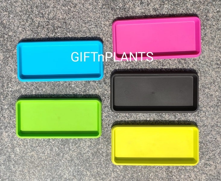 plastic plant trays rectangle Rectangular Plastic Pots' Tray Multicolour — GIFTnPLANTS