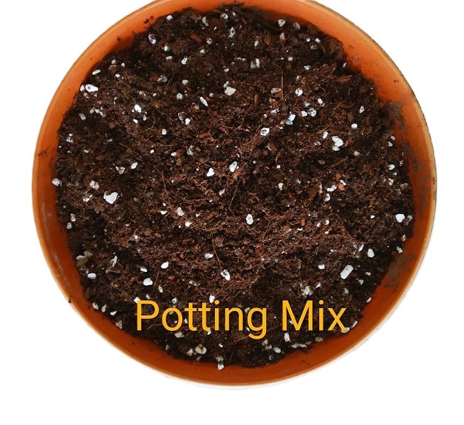 Ordinary Potting Soil (Soil-Less) for Indoor Plants