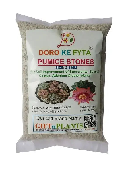 pumice stone for succulents Pumice Stones (2-4 mm), Smallest Size for Garden / Horticulture (Soil — GIFTnPLANTS