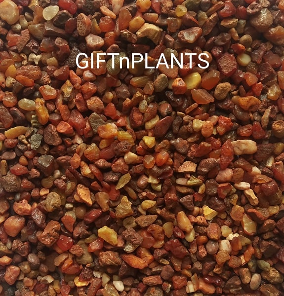 Red (Natural Colour) Stone Chips for Plants and Flower Vases, Aquarium