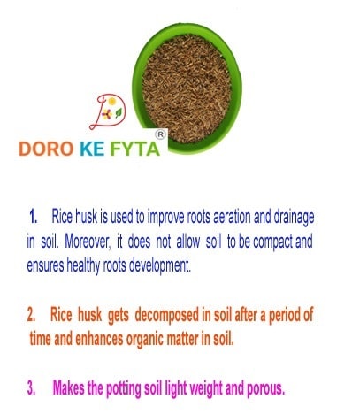 rice husk in potting mix Rice Husk for Plants, Garden Use — GIFTnPLANTS
