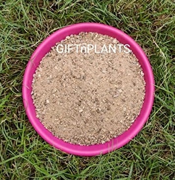 river sand for potting mix Natural (Mix) River Sand (Granule size= less than 4 mm) for Gardening, — GIFTnPLANTS
