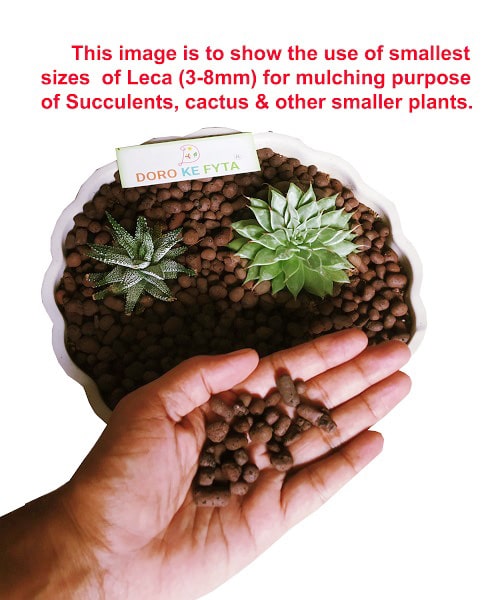 leca balls for succulents Leca Balls, Small Size, (4 to 10 mm), Hydroton Pebbles for Mulching & — GIFTnPLANTS