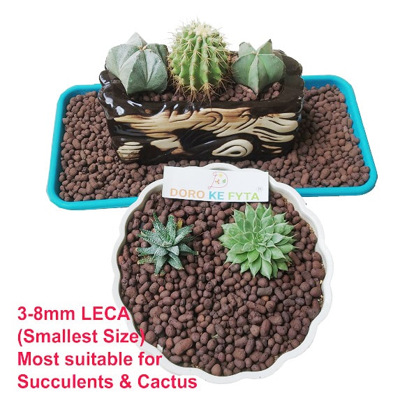 Leca Balls, Small Size, (4 to 10 mm), Hydroton Pebbles for Mulching & Soil Amendment of Succulents, Cactus & Other Plants