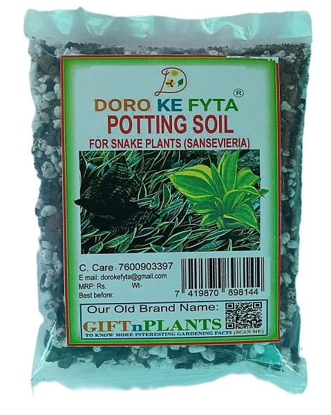 sansevieria potting soil Snake Plants' Potting Soil- River Sand Based (Soil-Less) for Better Dr — GIFTnPLANTS
