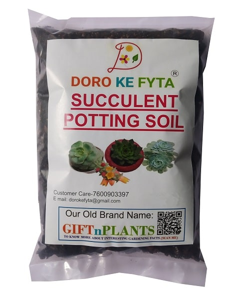 river sand for potting mix Succulent Potting Soil- River Sand Based (Soil-Less) for Better Draina — GIFTnPLANTS