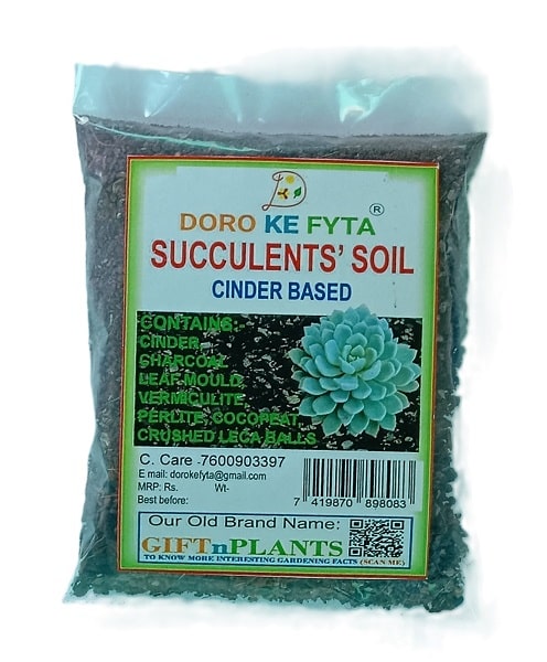soilless potting mix for succulents Succulent Potting Soil