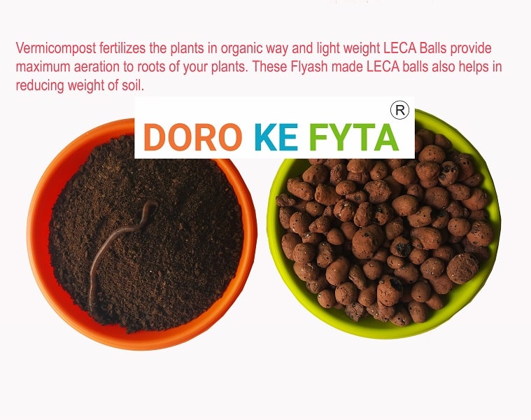 Combo of Organic Vermicompost and Leca Balls, Medium Size, (8 to 15 mm), Hydroton Pebbles for Mulching, Hydroponic Plants