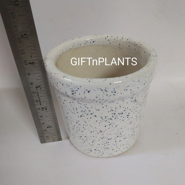 White Plain Ceramic Pot (Round) -WPCP