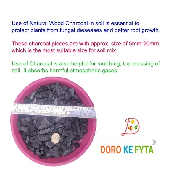 Wooden Charcoal (8-20 mm) for Plants, Garden Use and Soil Amendment